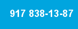 917 838-13-87 917 838-13-87